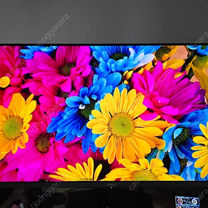 MSI 321URX 4K 32인치 240hz 모니터