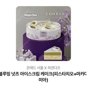하겐다즈 블루밍 넛츠 아이스크림 케이크 기프티콘
