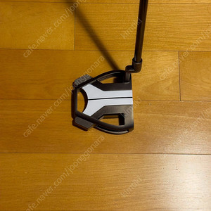테일러메이드 스파이더 X 퍼터 (L넥, 34인치)