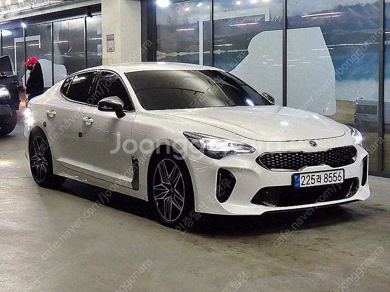 스팅어 중고 스팅어 마이스터 AWD 2.5 마스터즈 중...--0