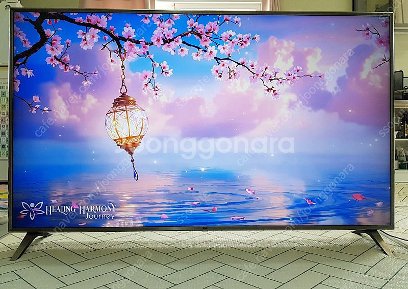 LG전자 75인치 나노스펙트럼+ HDR 4K UHD P...--1