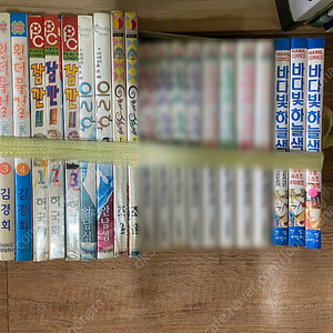 에그미쪼끄미, Trump트럼프, 생명의그릇, 스피드걸, 죽지않는꿈, 남학교, 책속으로의여행, 진월담월희, 마린블루, DVD, 시간을멈추고, 멋진탐정 라비린스, 레이, 귀등의섬, 세