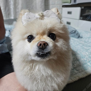 구형 카니발 발매트 싸게 구해요!