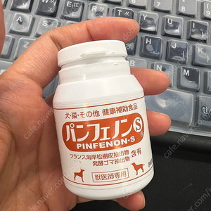 판페논s