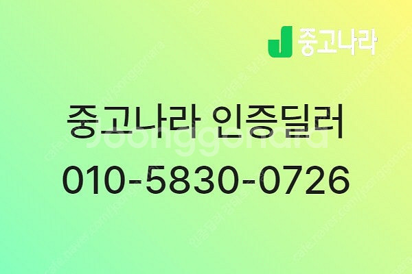 카니발 중고차 더 뉴 카니발 중고차 카니발 11인승 중...--1
