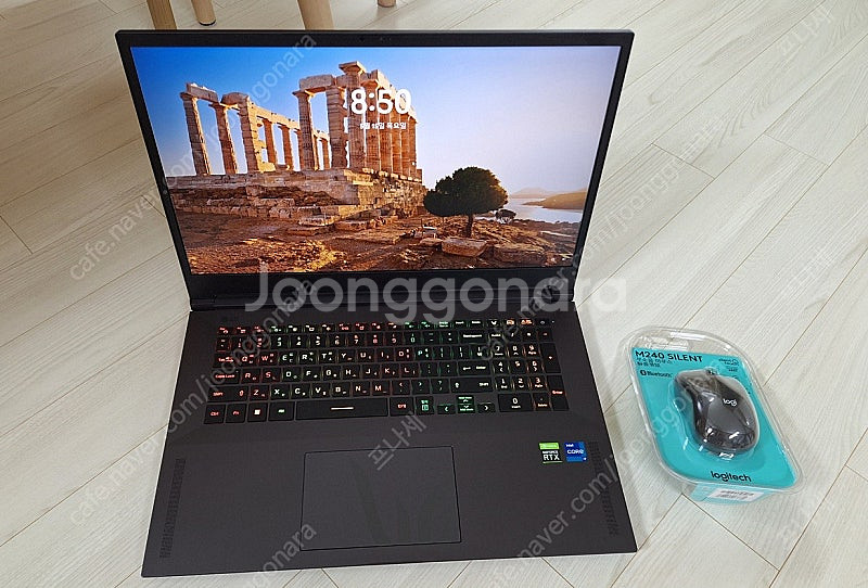 S급 RTX3080+i7 17.3인치 LG울트라기어 n...--0