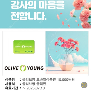 올리브영 모바일상품권 10,000원권 (~7/10까지)