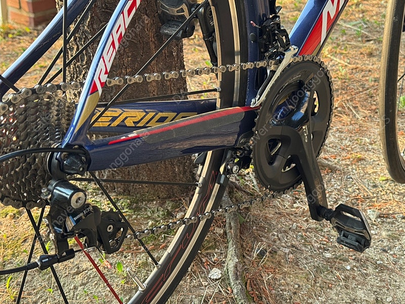 2018년 메리다 리액토 4000 풀업글--1