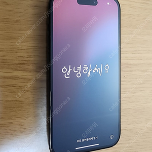 아이폰 15 256GB 블랙 판매