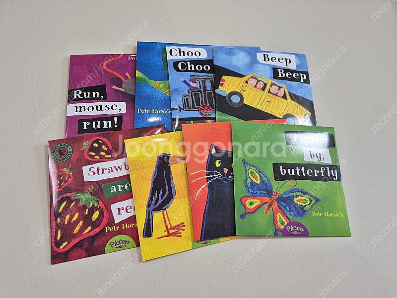 빼뜨르호라체크 영어 원서--1