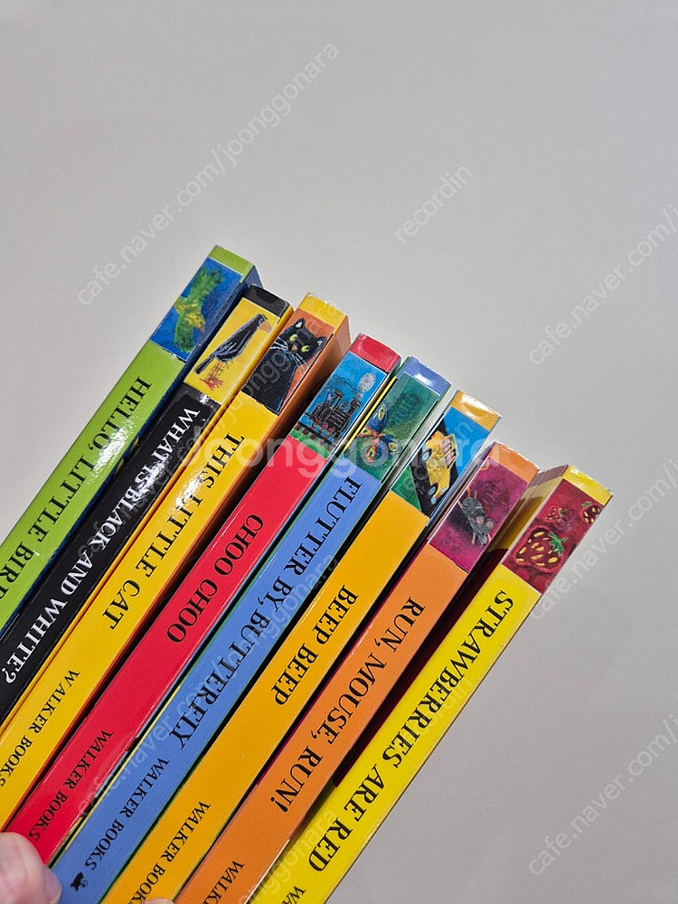 빼뜨르호라체크 영어 원서--2