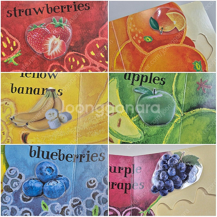 빼뜨르호라체크 영어 원서--3