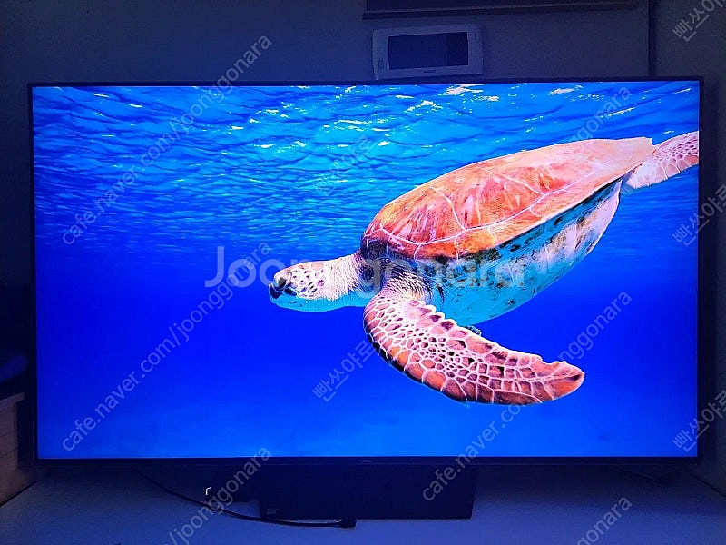 2024년형 65인치 이스트라 쿠카 UC652MLED ...--4