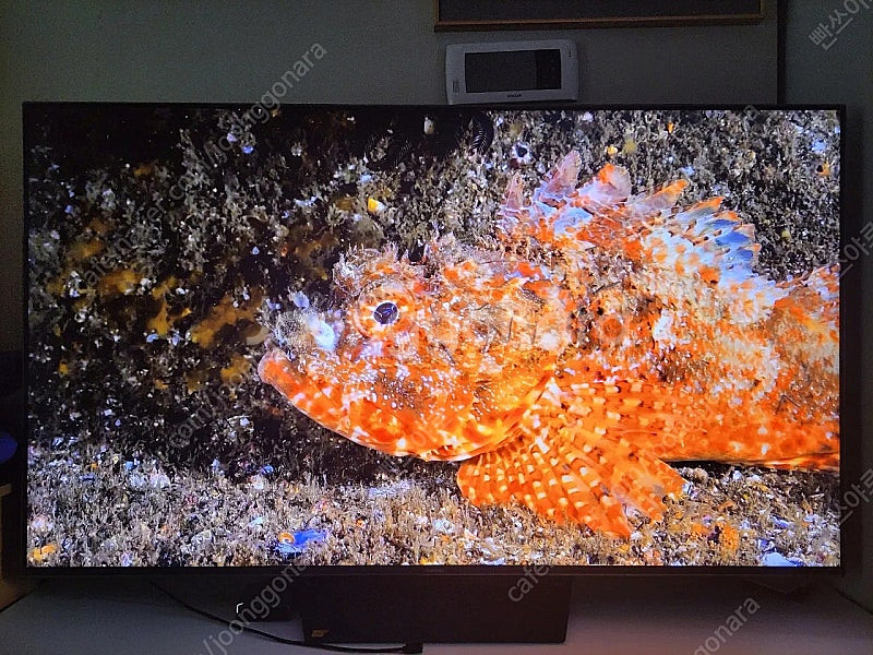 2024년형 65인치 이스트라 쿠카 UC652MLED ...--6