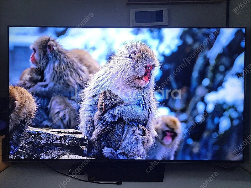 2024년형 65인치 이스트라 쿠카 UC652MLED ...--8