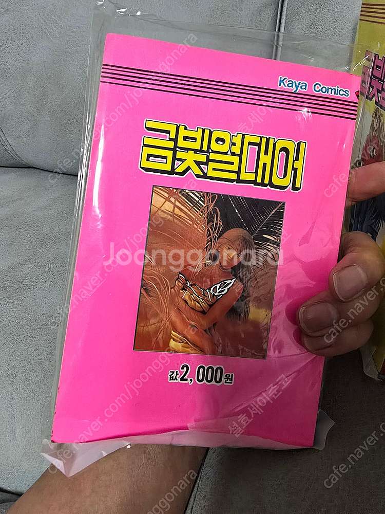 희귀만화) 금빛열대어 유리피쉬의사랑(원제 : BB피쉬)...--5