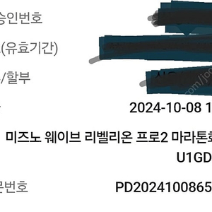 미즈노 웨이브 리벨리온 프로2 마라톤화 러닝화 (275mm)