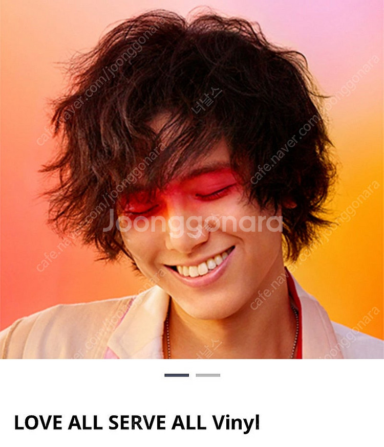 후지이카제 LP 정가양도합니다. LOVE ALL SER...--0