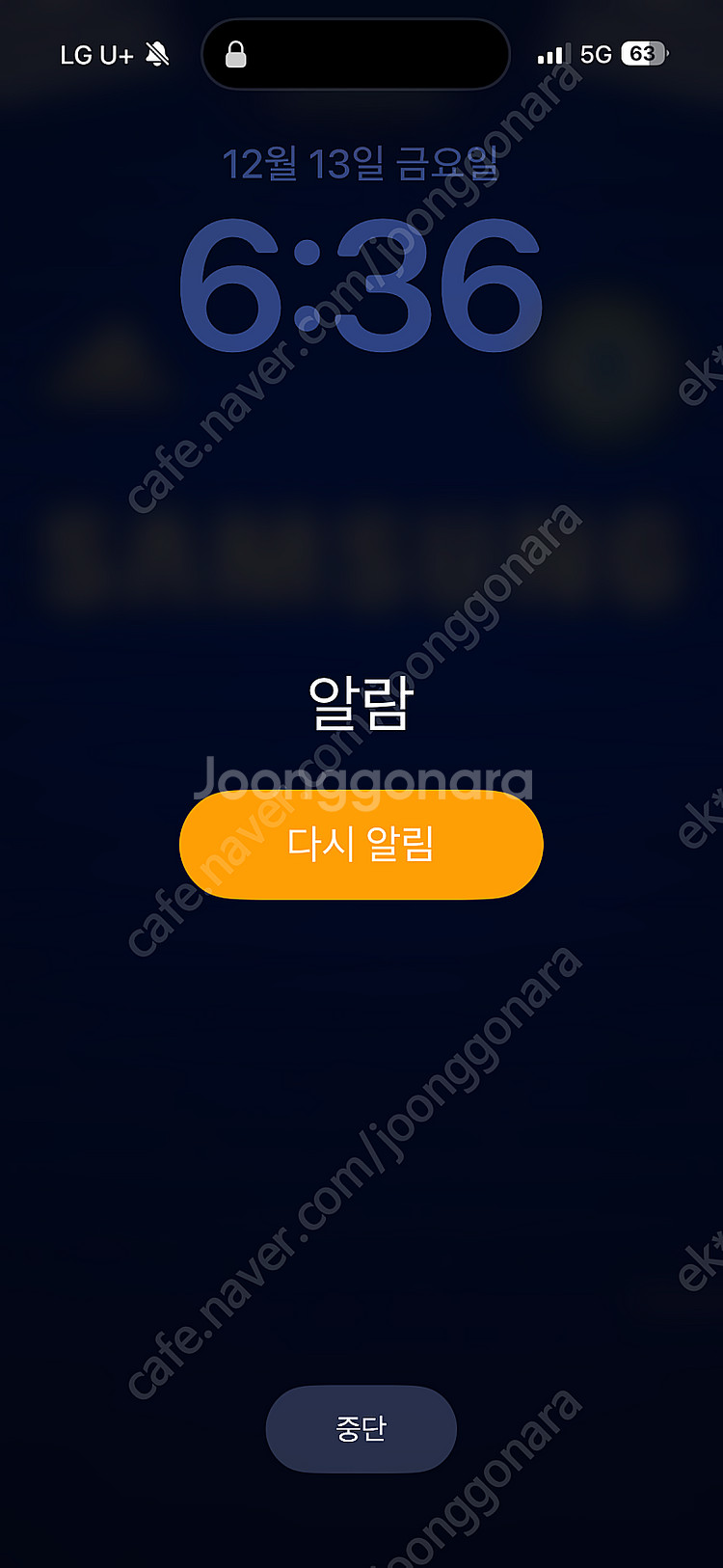 레노버 리전 프로 5i 16IRX RTX4060 i7--0