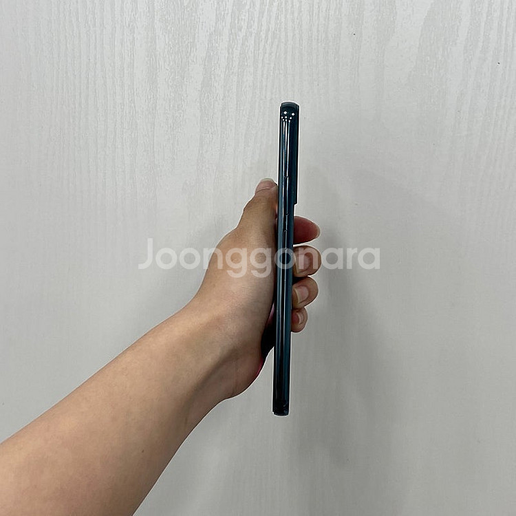 04580 갤럭시S22플러스 그린 256GB 부산 중고...--4