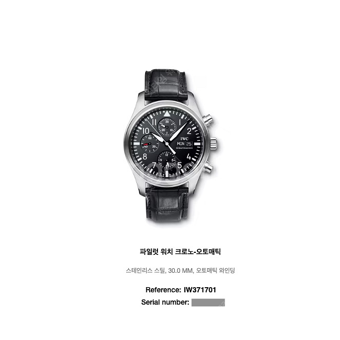 IWC 파일럿 워치 크로노그래프 IW371701--6