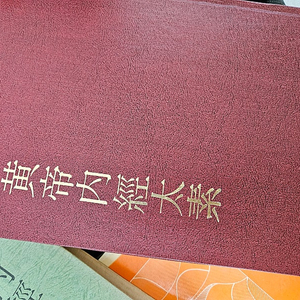 황제내경태소