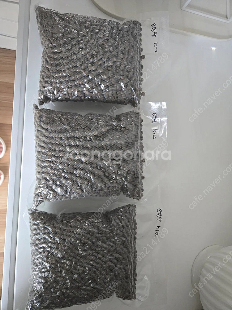 오픈팜 고양이 칠면조--0