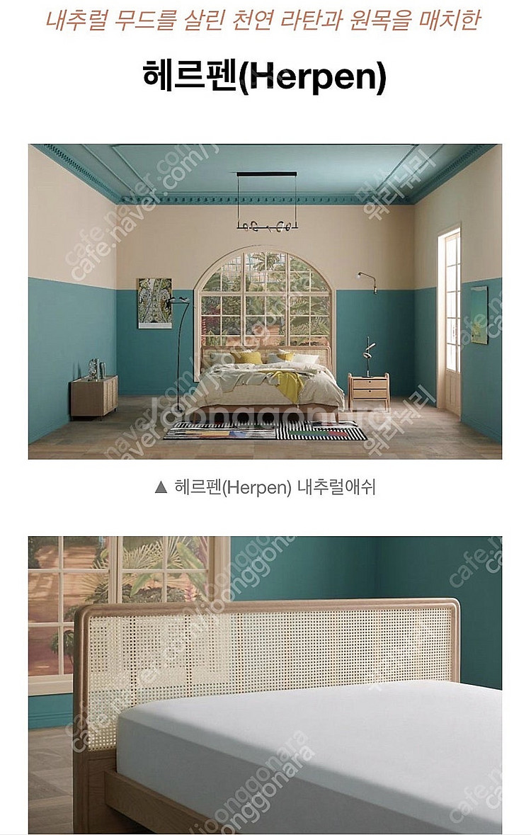 시몬스 라탄 라지킹 프레임--0