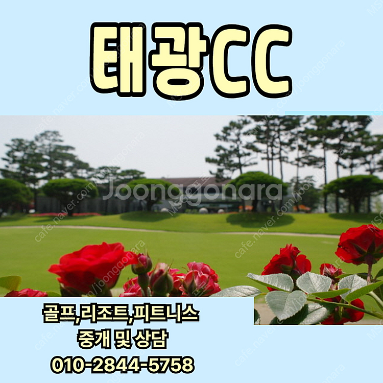 태광CC 회원권 매물확보 문의주세요~--0