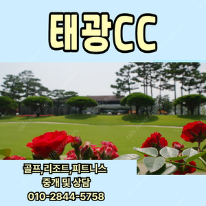태광CC 회원권 매물확보 문의주세요~