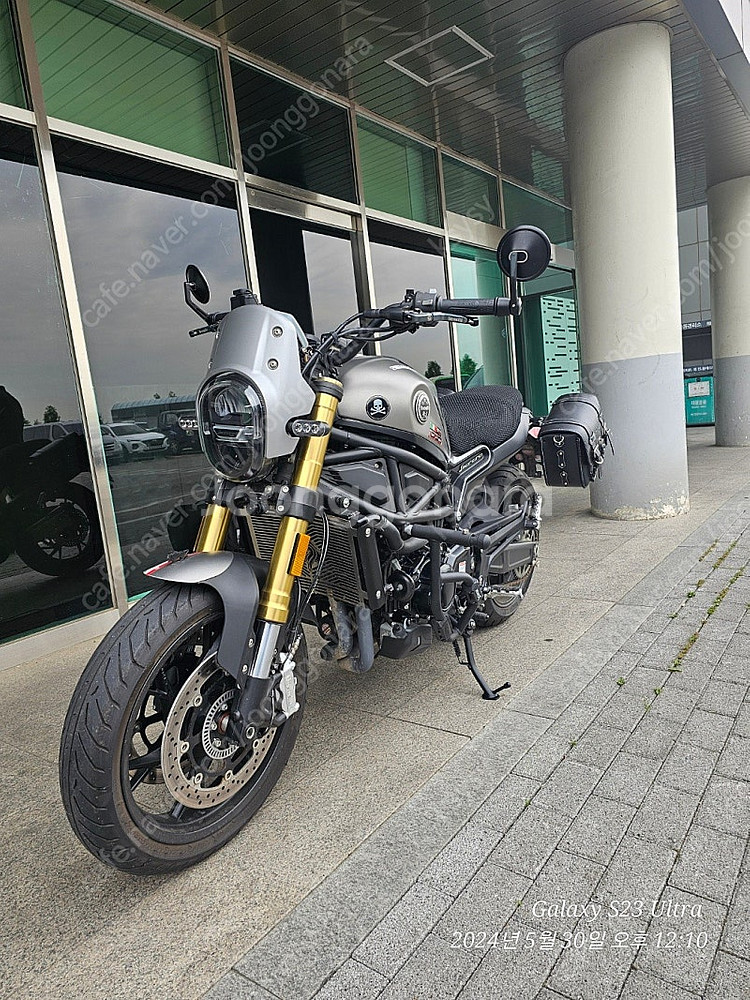 베넬리 레온치노 800--0