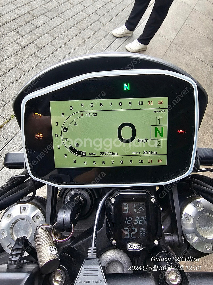 베넬리 레온치노 800--1