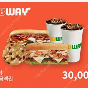 써브웨이 모바일금액권 3만원권