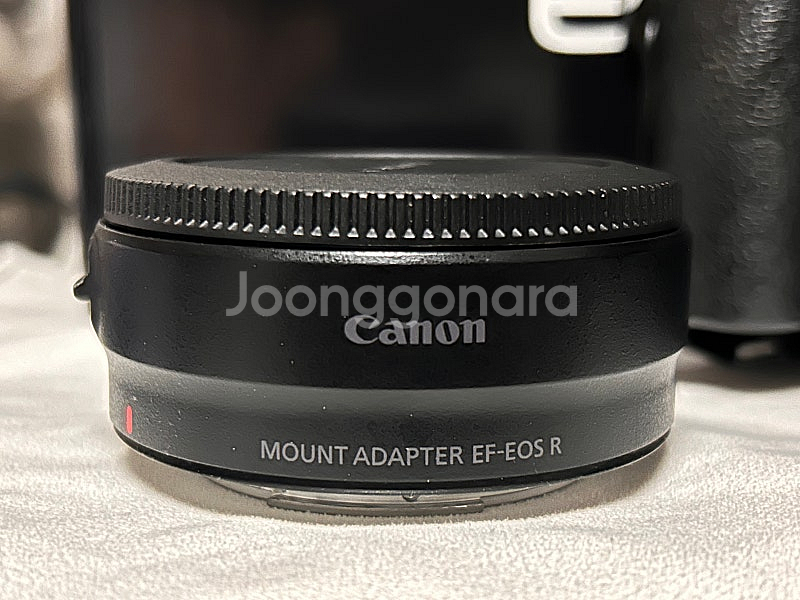 Canon R6 mark2 + ef렌즈 커버터 +cag...--1