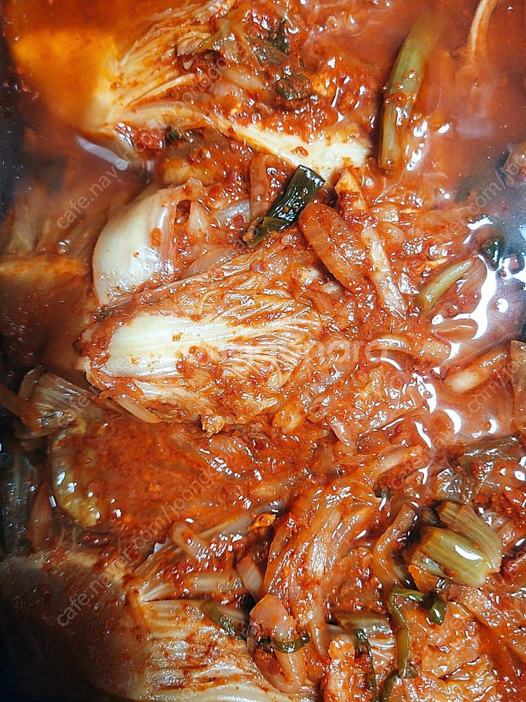 묵은지--0