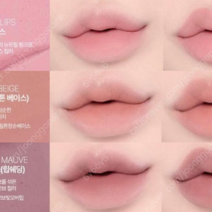 하트퍼센트 립펜슬 로지립스,로즈베이지,클라우디모브