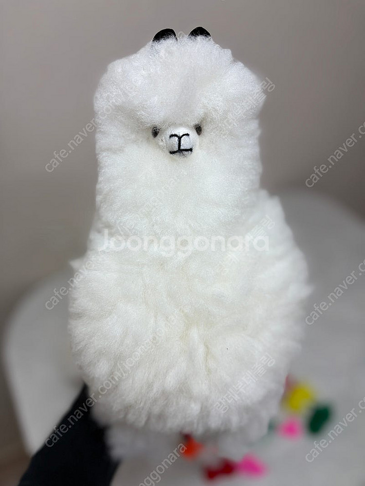 페루 리얼 알파카 라마 인형 (3개 일괄)--3