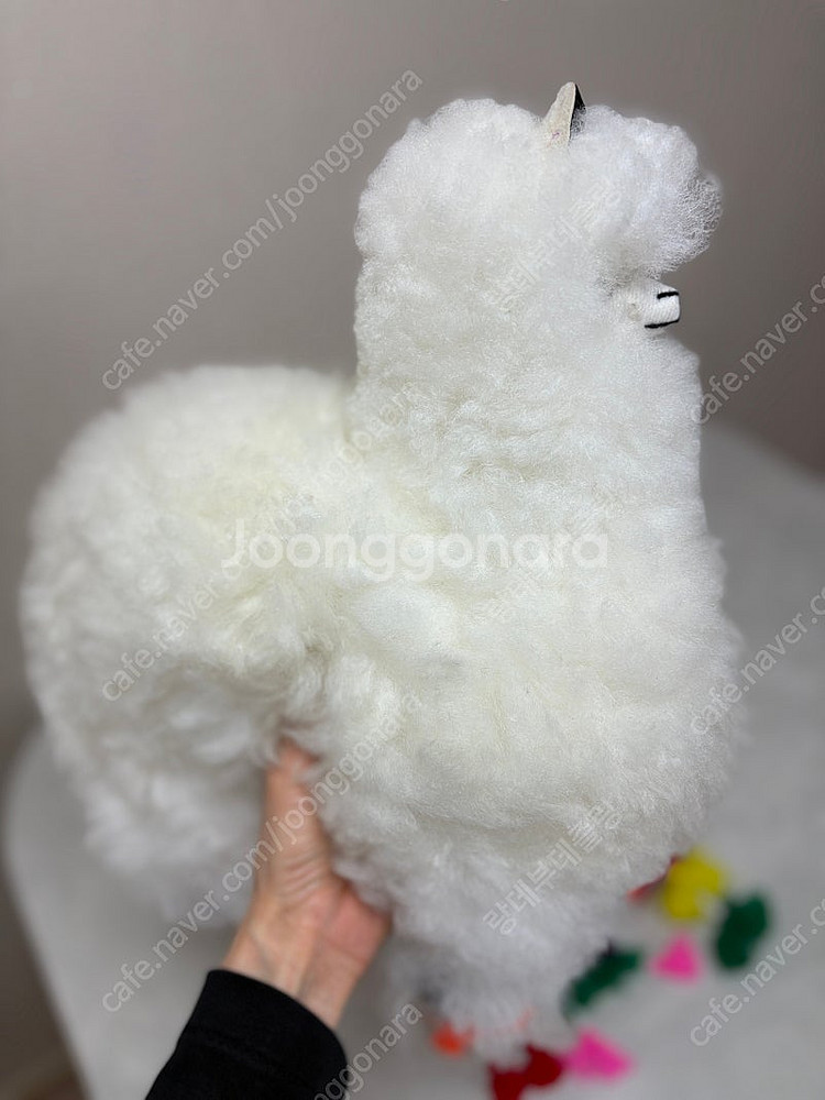 페루 리얼 알파카 라마 인형 (3개 일괄)--4