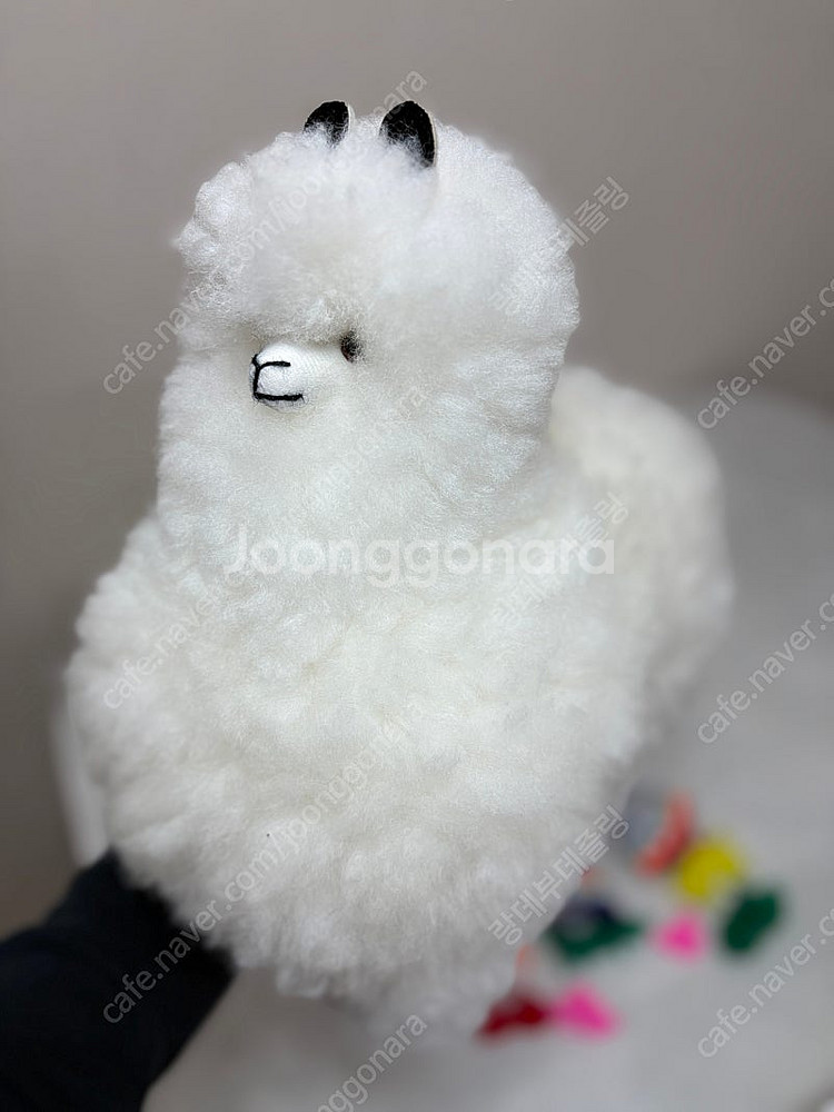 페루 리얼 알파카 라마 인형 (3개 일괄)--5