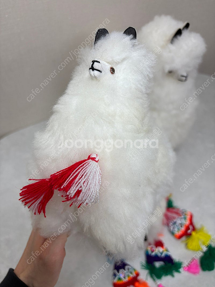 페루 리얼 알파카 라마 인형 (3개 일괄)--6