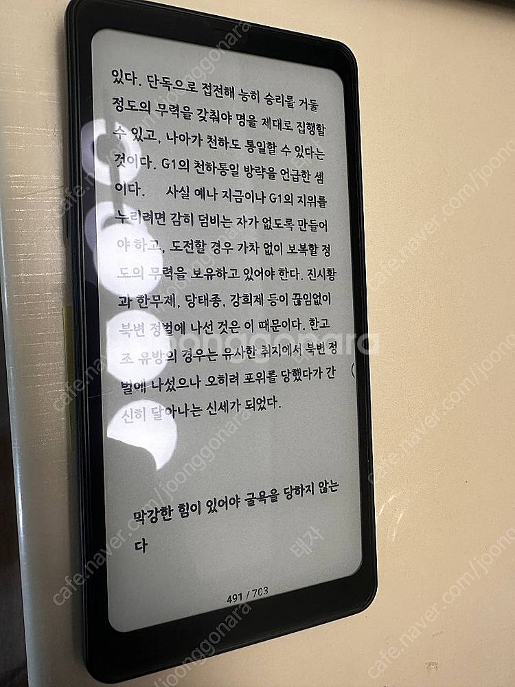 오닉스 팔마1--2