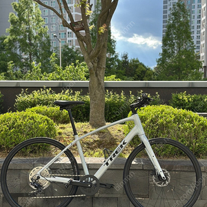 트렉 fx2 4세대 L 2025