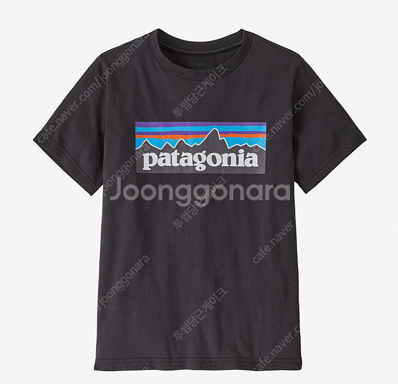 파타고니아 반팔티--0