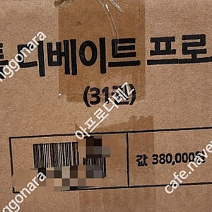 키즈스콜레 틱톡 디베이트 프로그램 세이펜 미개봉