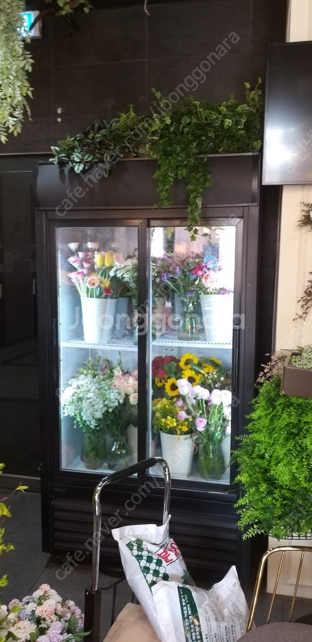 음료수냉장고 수직냉동고 아이스크림냉동고 업소용냉동고--4