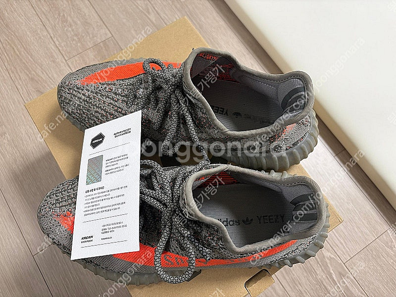 이지부스트 350 v2 벨루가 (사이즈250) 팝니다.--1