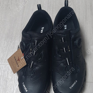 트렉스타 고어텍스 등산화 단련화 275mm 새제품