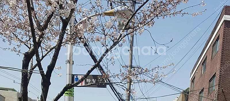 삽니다 야놀자나 여기어때 4만짜리 80프로에 사요--0