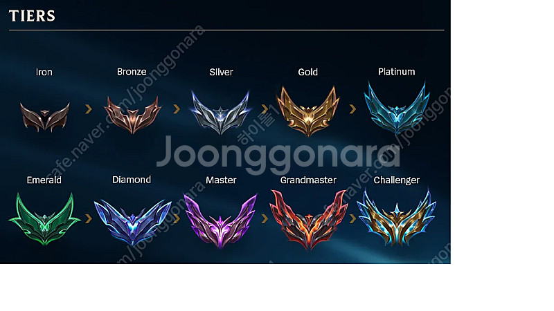 2025새시즌 LOL) 롤 대리x듀오x맡김x강의x기사x...--0