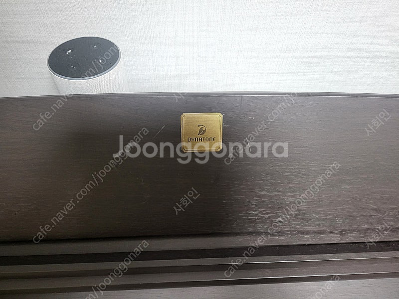 전자피아노 다이나톤 dcp-770(SUV 차량 이동 가...--3